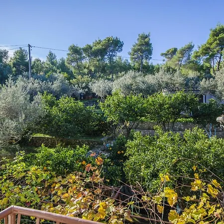 Apartment Dragica Slatine