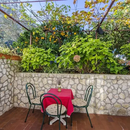 Dragica Apartment *
