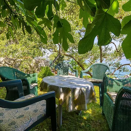 Apartment Dragica Slatine