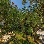 Apartamento Dragica