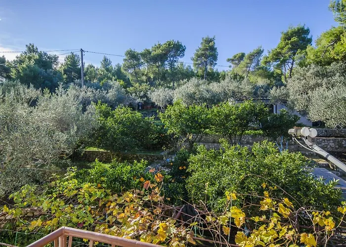 Appartement Dragica Slatine